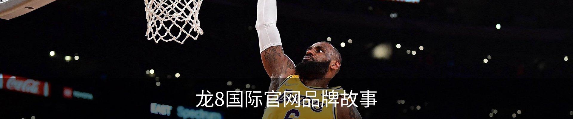 龙8国际官网品牌故事